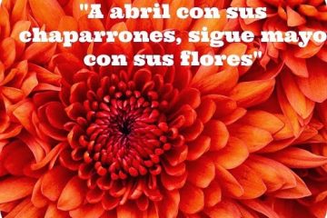 A abril con sus chaparrones, sigue mayo con sus flores.