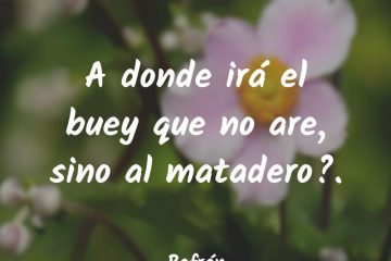 ¿A dó irá el buey que no are, sino al matadero?
