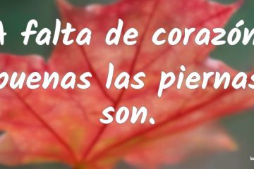 A falta de corazón, buenas las piernas son.