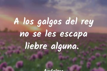 A los galgos del rey no se les escapa liebre.
