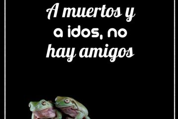 A muertos y a idos, no hay amigos.