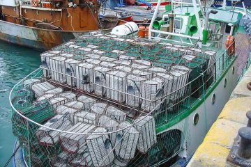 A quien va al palangre, no le faltará hambre.