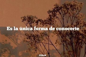 A San Cenón, todos le tienen gran devoción; pero a San Nicomedes no hay quien le rece.