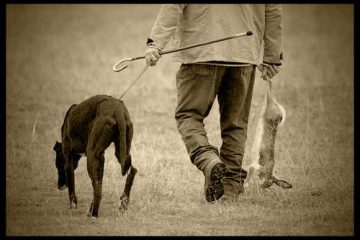 Achicá, compadre, y llevaréis la galga.