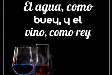 Agua, como buey; y el vino, como rey, (El)