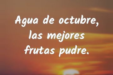 Agua de octubre, las mejores frutas pudre.