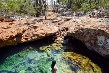 Agua hace la vista clara, (El)