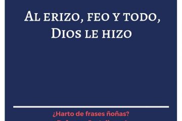 Al erizo, feo y todo, Dios lo hizo.