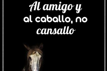 Al hombre y al caballo, no cansallo.