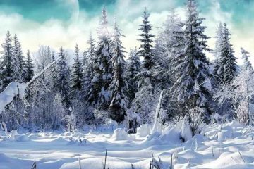 Al invierno no se lo come el lobo; ni al verano tampoco.