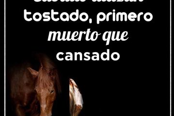Alazán tostado, antes muerto que cansado.