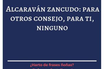 Alcaraván zancudo: para otros, consejo; para sí, ninguno.