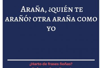 Araña, ¿quién te arañó? Otra araña como yo.