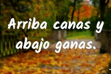 Arriba, canas; y abajo, ganas.