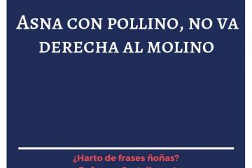 Asna con pollino, no va derecha al molino.