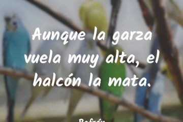 Aunque la garza vuela muy alta, el halcón la mata.