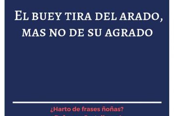 Buey traba el arado, mas no de su agrado, (El)