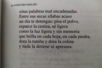 Cada uno en su fuego, dice el mal ajeno.