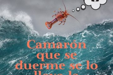 Camarón que se duerme, se lo lleva la corriente.