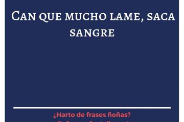 Can que mucho lame, saca sangre.