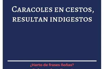 Caracoles en cestos, resultan indigestos.