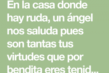 Casa donde hay ruda, el ángel la saluda.