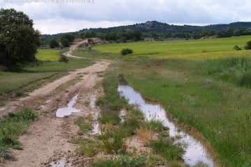 Charco pasado, santo olvidado.