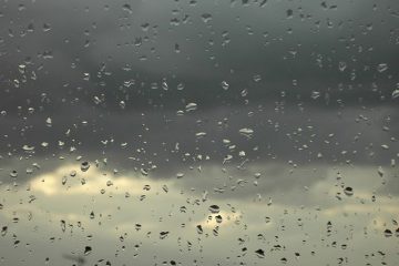 Cielo a corderos, agua a calderos.