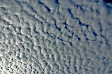 Cielo aborregado, suelo mojado.