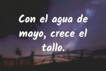 Con el agua de mayo crece el tallo.