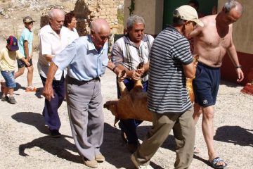 Con la ayuda del vecino mató mi padre un cochino.