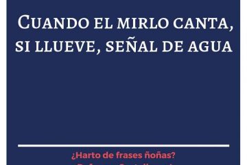 Cuando el mirlo canta, si llueve, señal de agua.