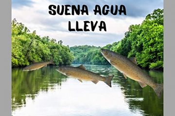 Cuando el río suena, agua lleva.