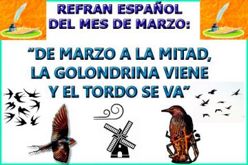 De marzo a la mitad, la golondrina viene y el tordo se va.