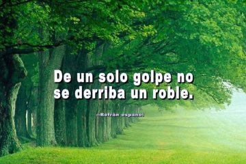 De un solo golpe no se derriba un roble.