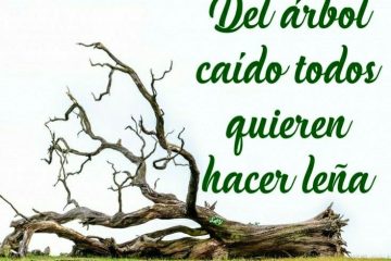 Del árbol caído todos hacen leña.