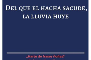 Del que el hacha sacude, la lluvia huye.