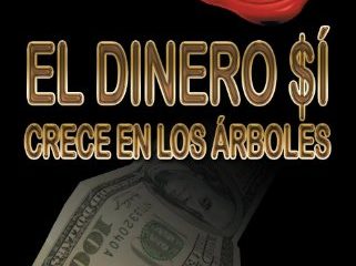 Dinero no crece en el talego, (El)