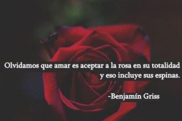 El amor es como una rosa al revés, tiene las espinas por dentro.