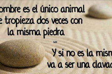 El único animal que tropieza dos veces con la misma piedra es el hombre.