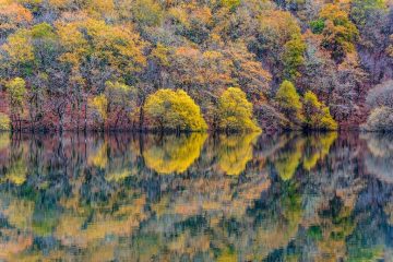 El otoño en Castilla, es una maravilla.