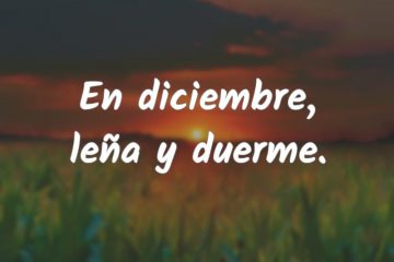 En diciembre, leña y duerme.