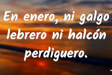 En enero ni galgo lebrero, ni halcón perdiguero.