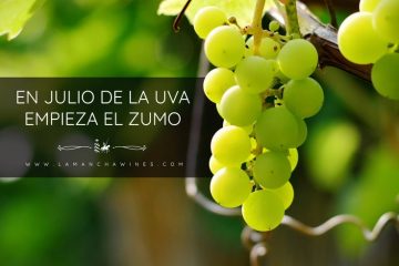 En julio de la uva empieza el zumo.