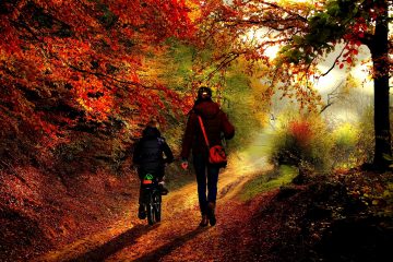 En otoño, la mano al moño.