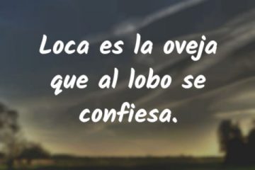 Loca es la oveja que al lobo se confiesa.