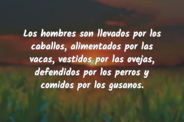 Los hombres son llevados por los caballos, alimentados por las vacas, vestidos por las ovejas, defendidos por los perros y comidos por los gusanos.