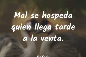 Mal se hospeda quien llega tarde a la venta.
