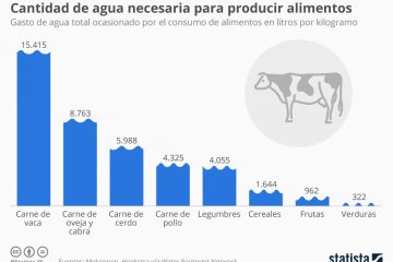 Más vale agua de carne que carne de agua.