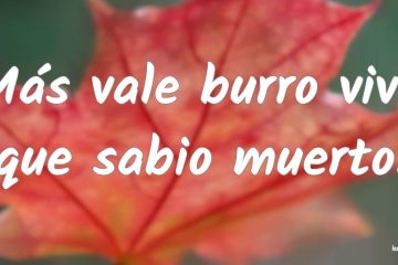 Más vale burro vivo que sabio muerto.
